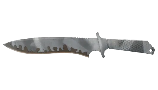 Skin's image