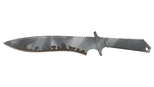 Skin's image