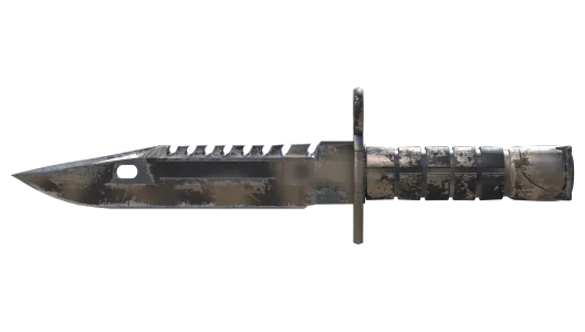 Skin's image