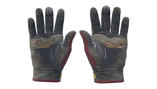 Skin's image