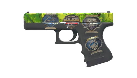 Skin's image