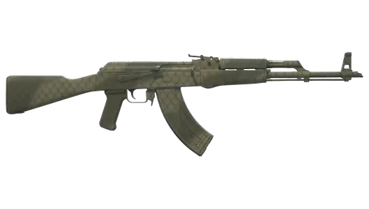 Skin's image