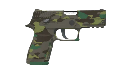 Skin's image