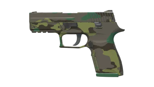 Skin's image