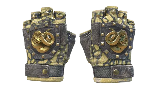 Skin's image