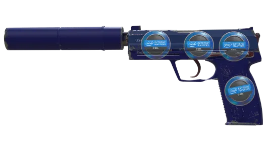 Skin's image