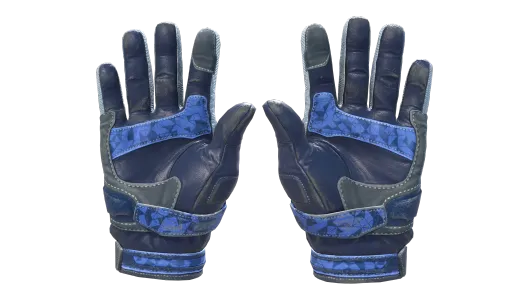 Skin's image