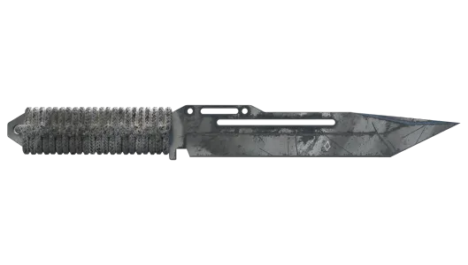 Skin's image