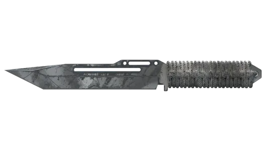 Skin's image