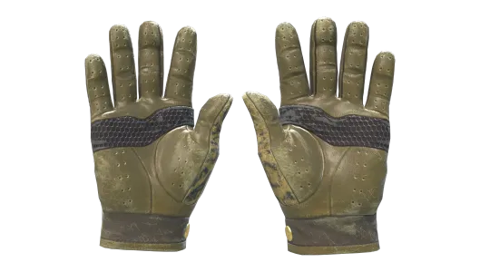 Skin's image