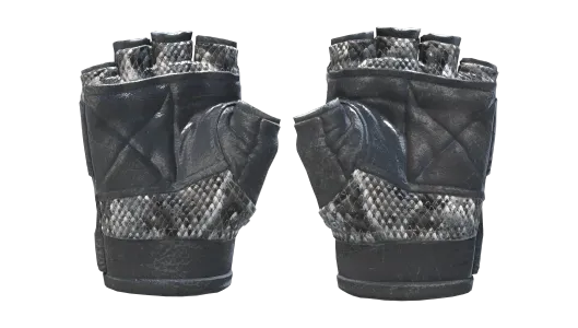 Skin's image