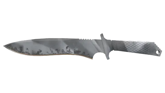 Skin's image