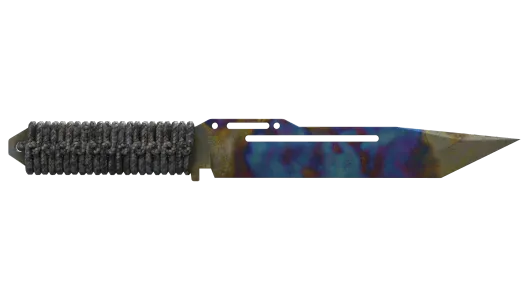 Skin's image