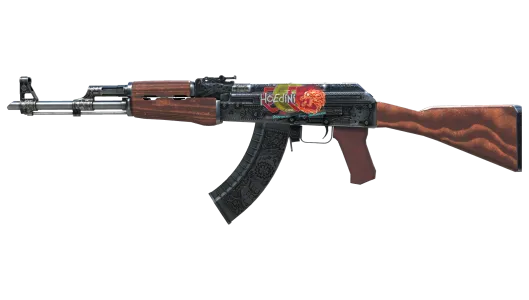 Skin's image