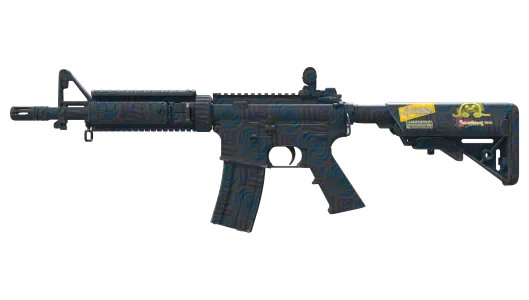 Skin's image