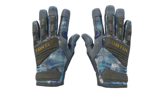 Skin's image