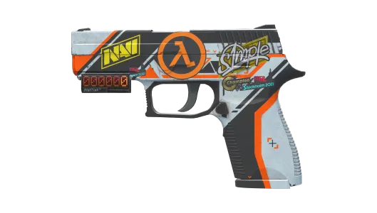 Skin's image