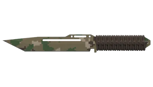 Skin's image