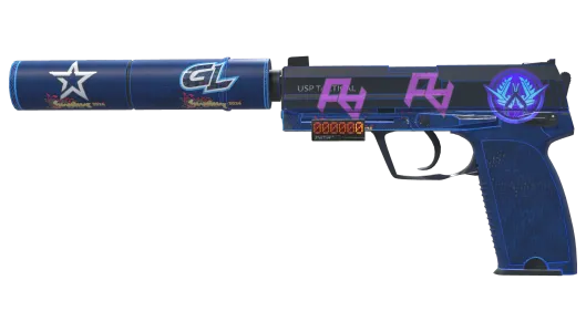 Skin's image