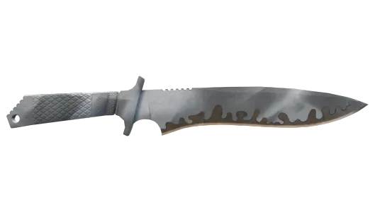 Skin's image