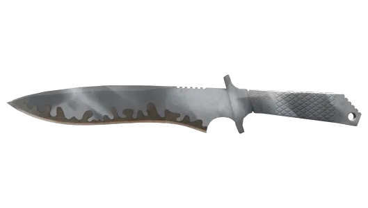 Skin's image