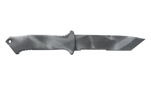 Skin's image