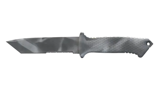 Skin's image