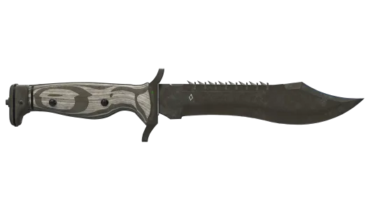 Skin's image