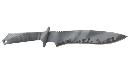 Skin's image