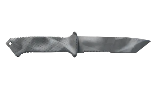 Skin's image