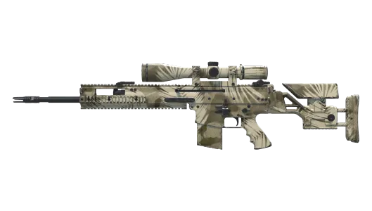 Skin's image