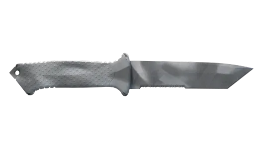 Skin's image