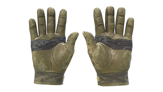 Skin's image