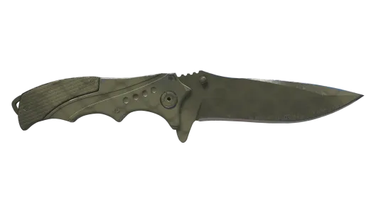 Skin's image