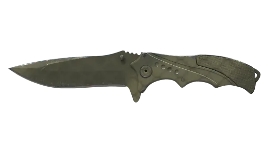Skin's image