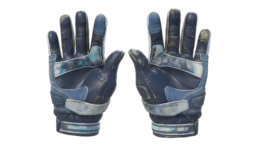 Skin's image