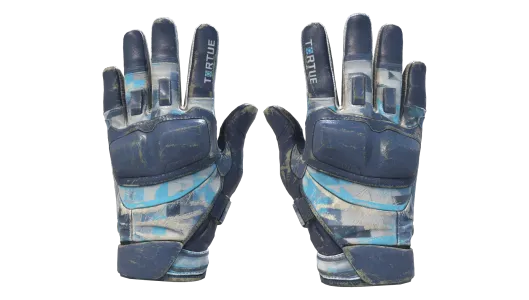 Skin's image