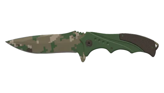 Skin's image