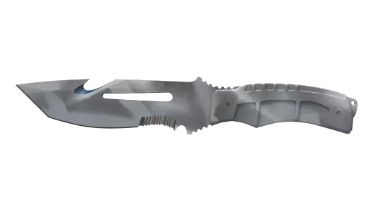 Skin's image