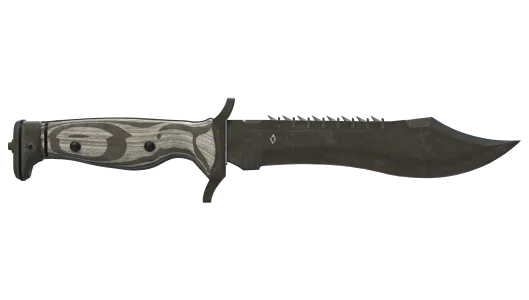 Skin's image