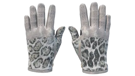 Skin's image