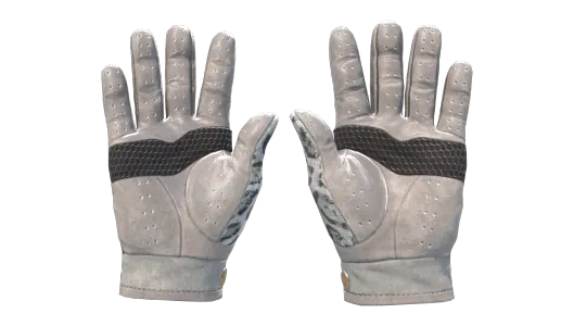 Skin's image