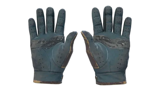 Skin's image