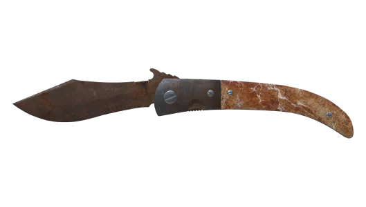 Skin's image