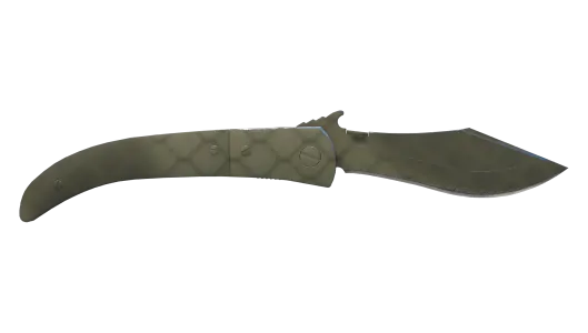 Skin's image