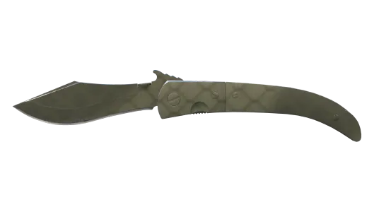 Skin's image