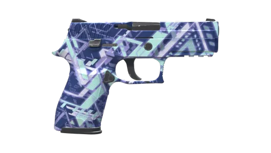 Skin's image