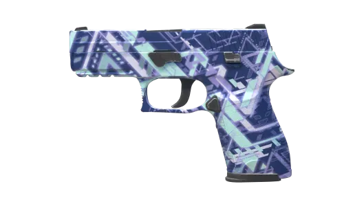 Skin's image