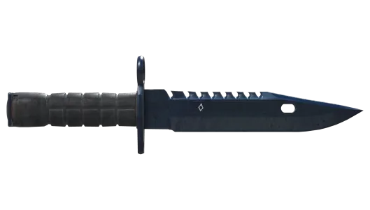 Skin's image