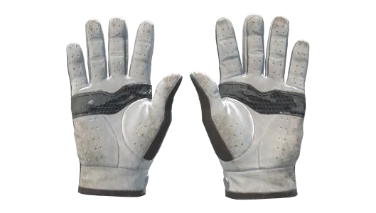 Skin's image